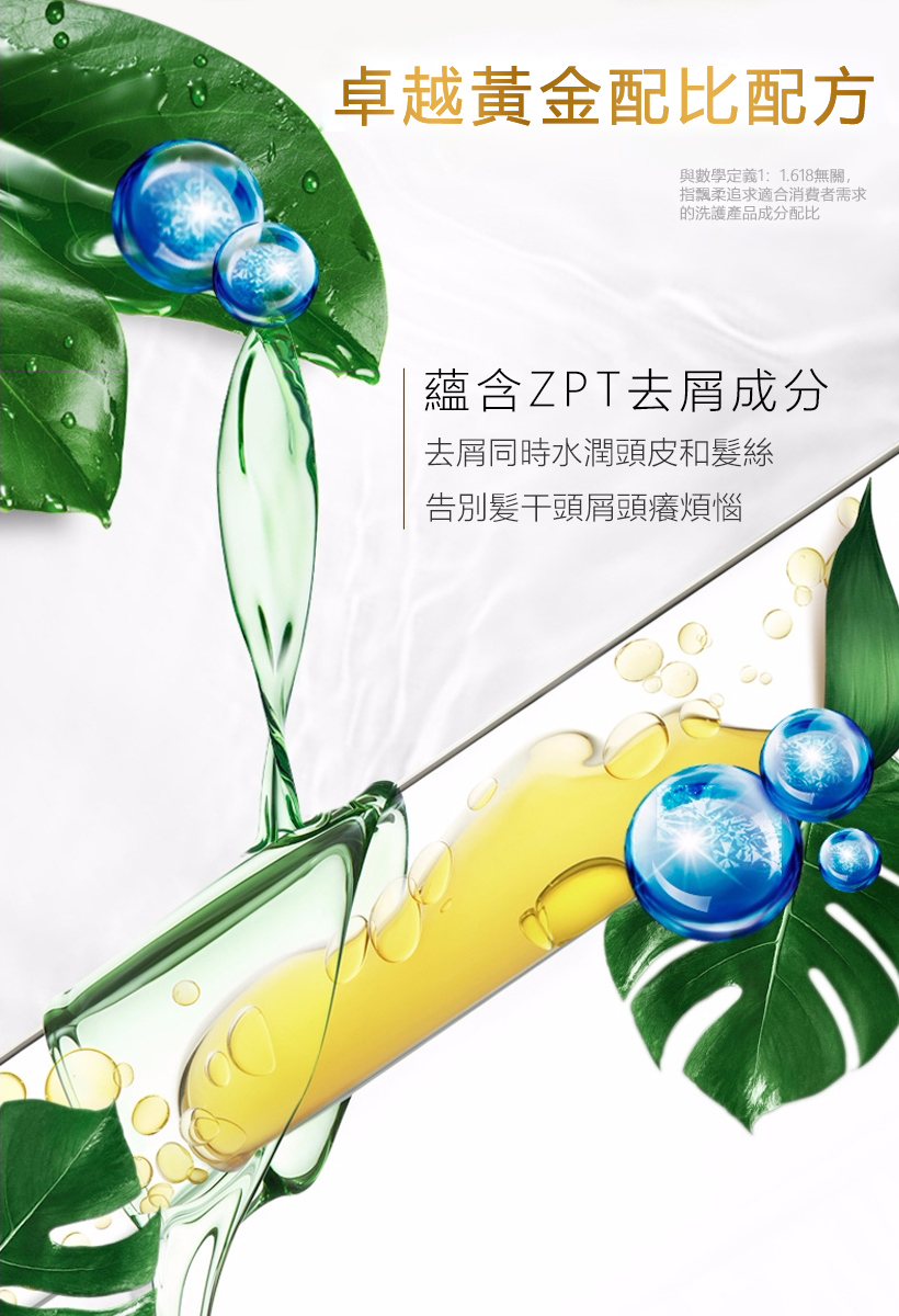 飄柔去頭皮滋潤洗髮露 1L 3.jpg